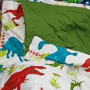 Dinosaur Dreams Comforter Set - Green and Multicolor